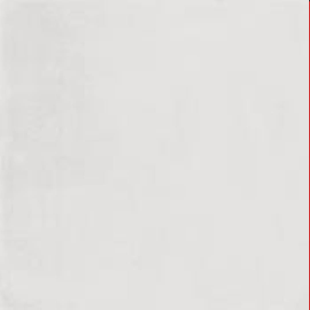 Pigments White