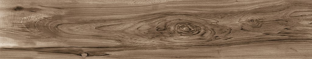Bellver Oak