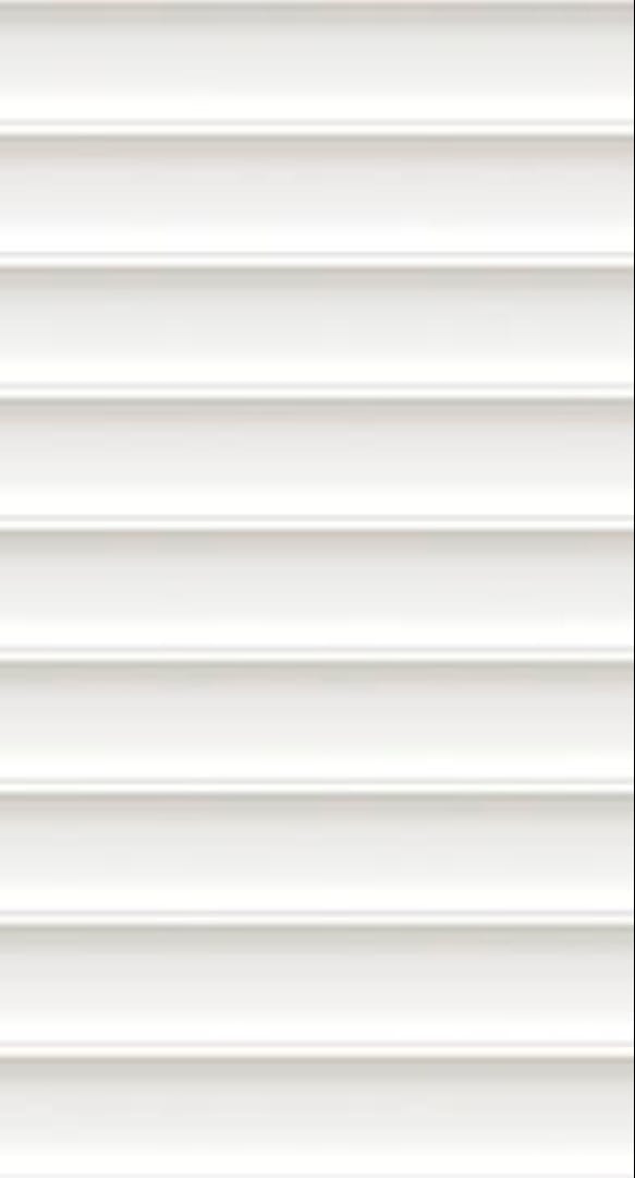 Blinds Snow