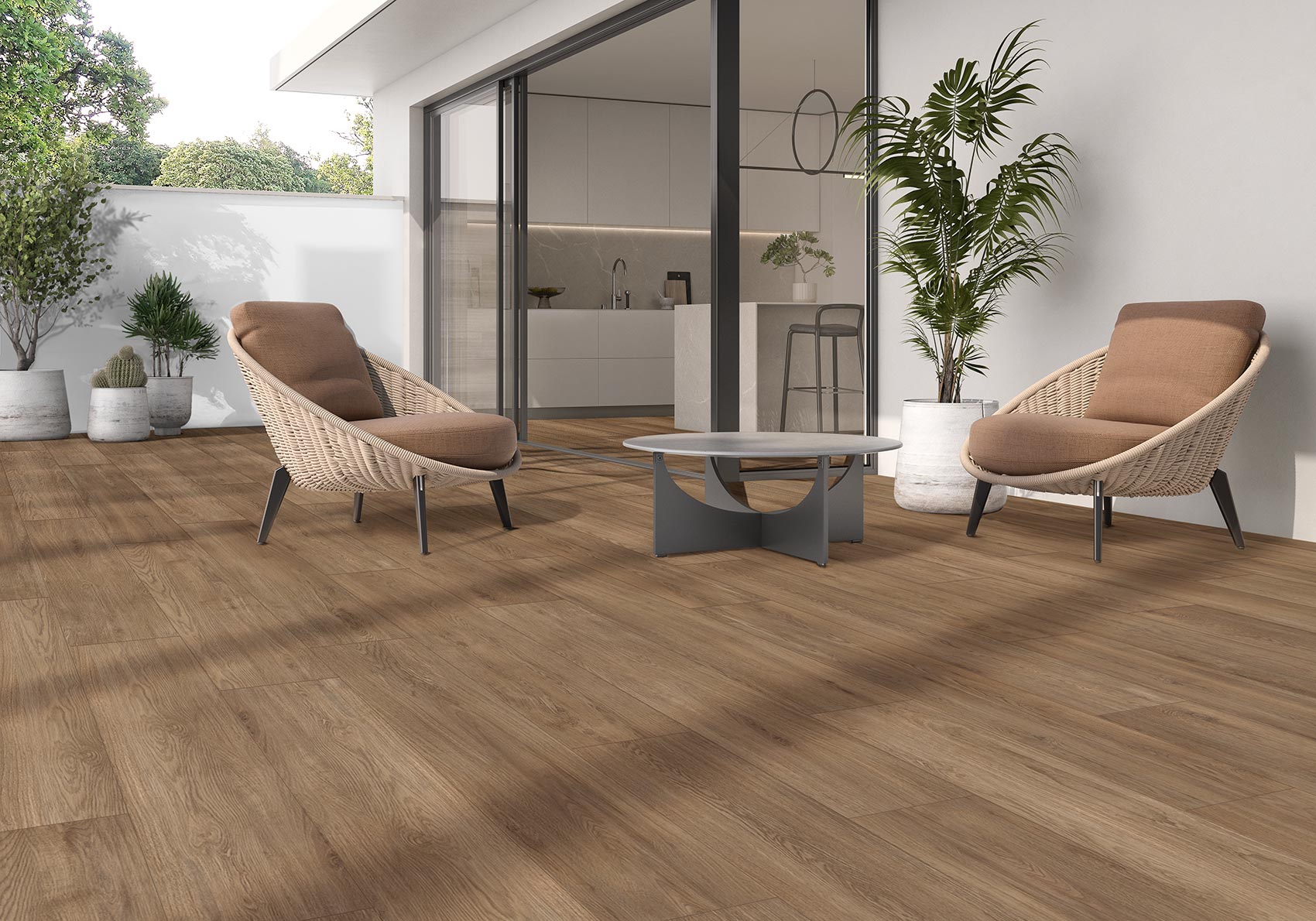 Mallorca Oak