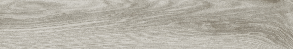 Orion Maple